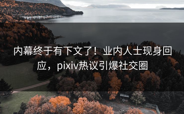 内幕终于有下文了！业内人士现身回应，pixiv热议引爆社交圈