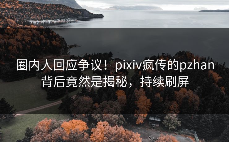 圈内人回应争议！pixiv疯传的pzhan背后竟然是揭秘，持续刷屏
