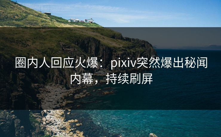 圈内人回应火爆：pixiv突然爆出秘闻内幕，持续刷屏