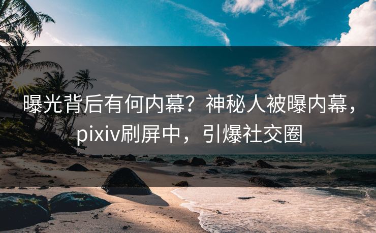 曝光背后有何内幕？神秘人被曝内幕，pixiv刷屏中，引爆社交圈
