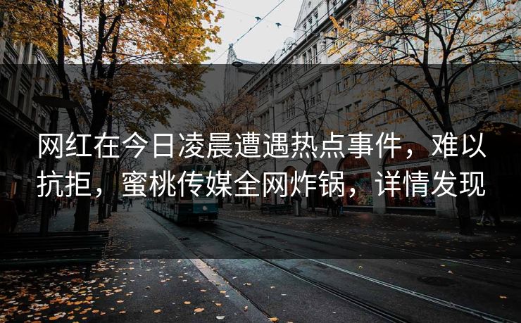 网红在今日凌晨遭遇热点事件，难以抗拒，蜜桃传媒全网炸锅，详情发现