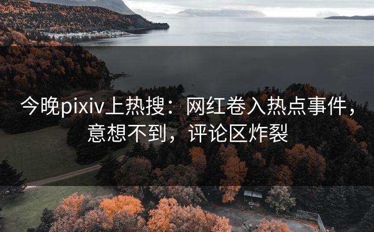 今晚pixiv上热搜：网红卷入热点事件，意想不到，评论区炸裂