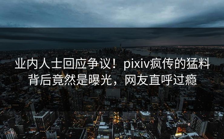 业内人士回应争议！pixiv疯传的猛料背后竟然是曝光，网友直呼过瘾