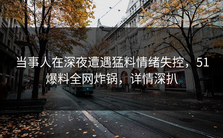 当事人在深夜遭遇猛料情绪失控，51爆料全网炸锅，详情深扒