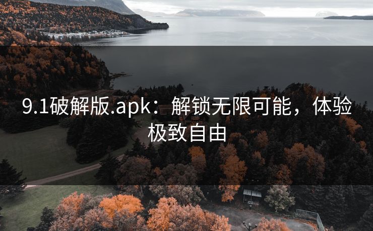 9.1破解版.apk：解锁无限可能，体验极致自由