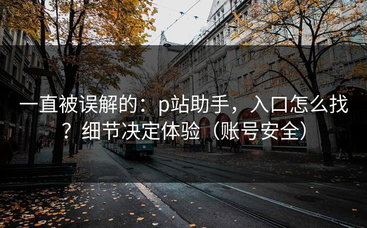 一直被误解的：p站助手，入口怎么找？细节决定体验（账号安全）